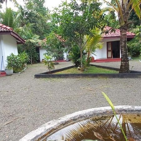 Blue Whale Lagoon Resort Ahangama Exterior photo