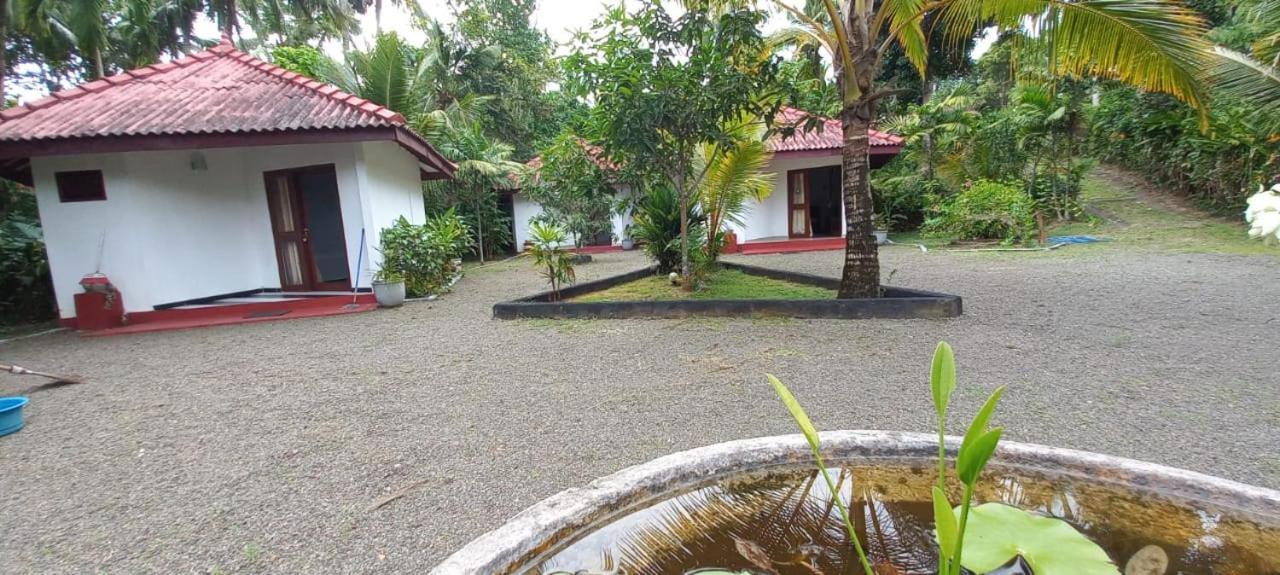 Blue Whale Lagoon Resort Ahangama Exterior photo