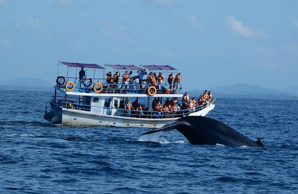 Blue Whale Lagoon Resort Ahangama Exterior photo