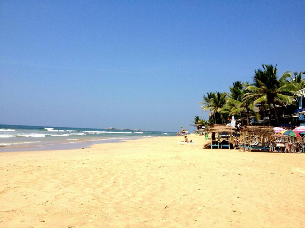 Blue Whale Lagoon Resort Ahangama Exterior photo