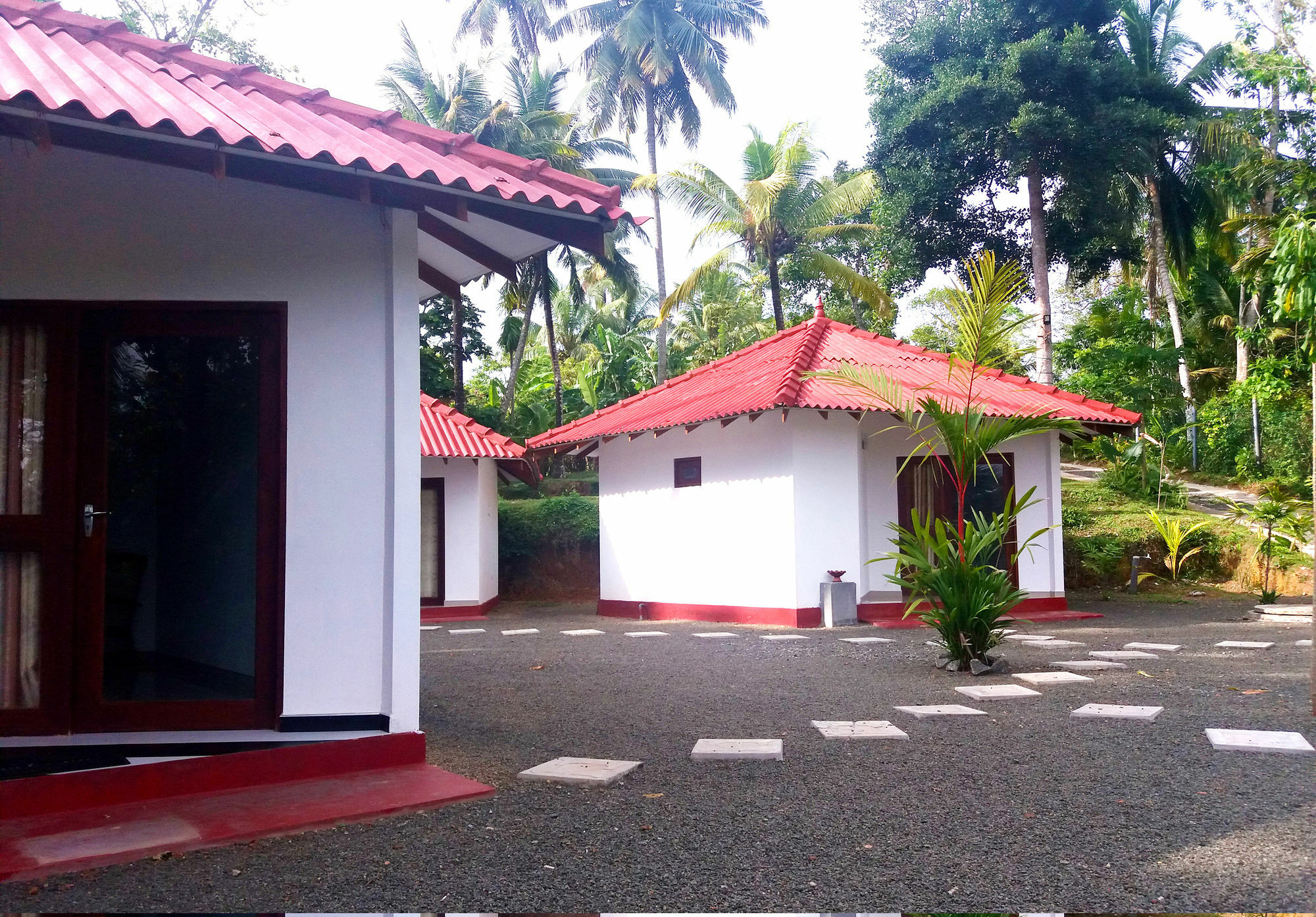Blue Whale Lagoon Resort Ahangama Exterior photo