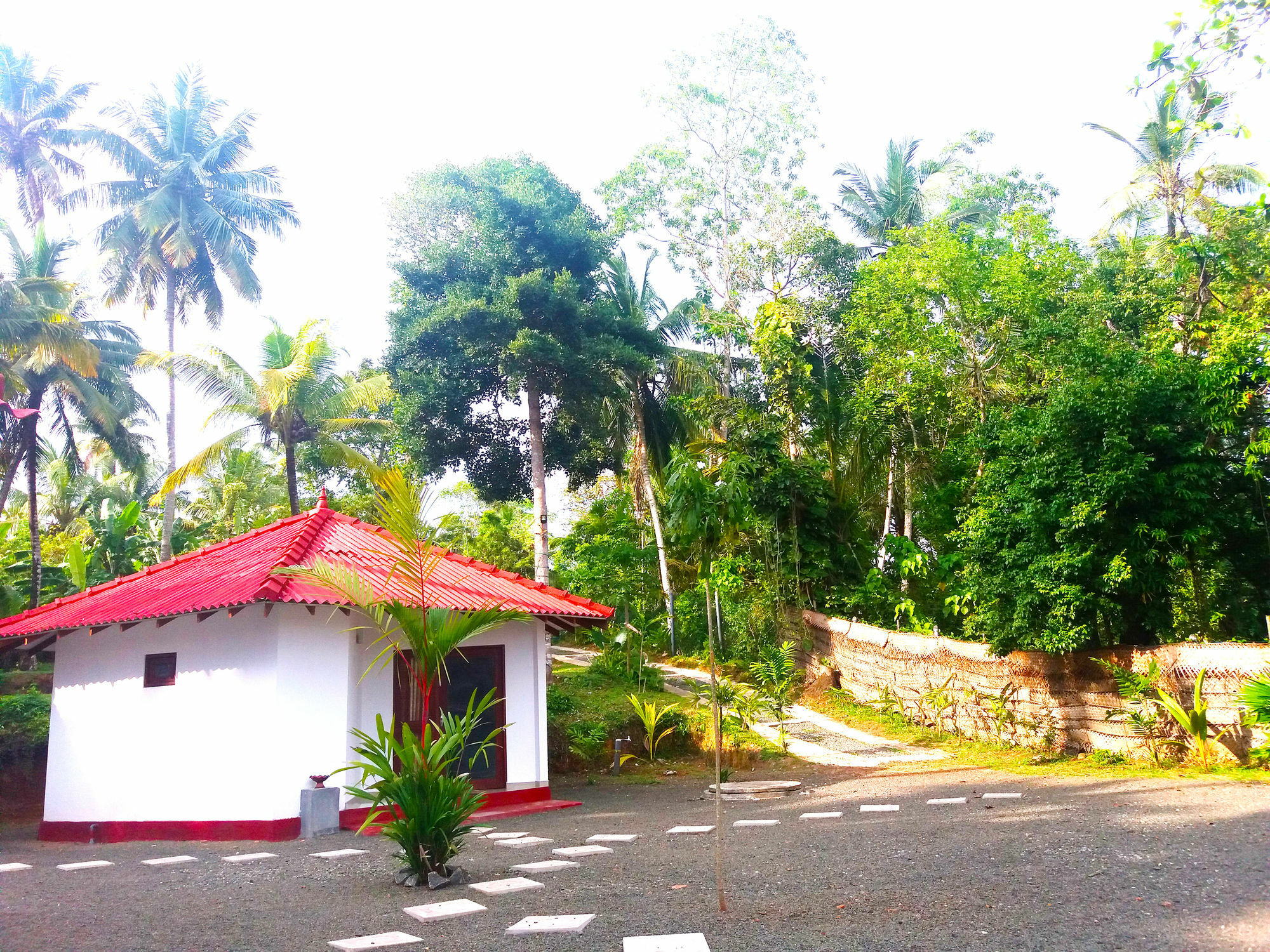 Blue Whale Lagoon Resort Ahangama Exterior photo