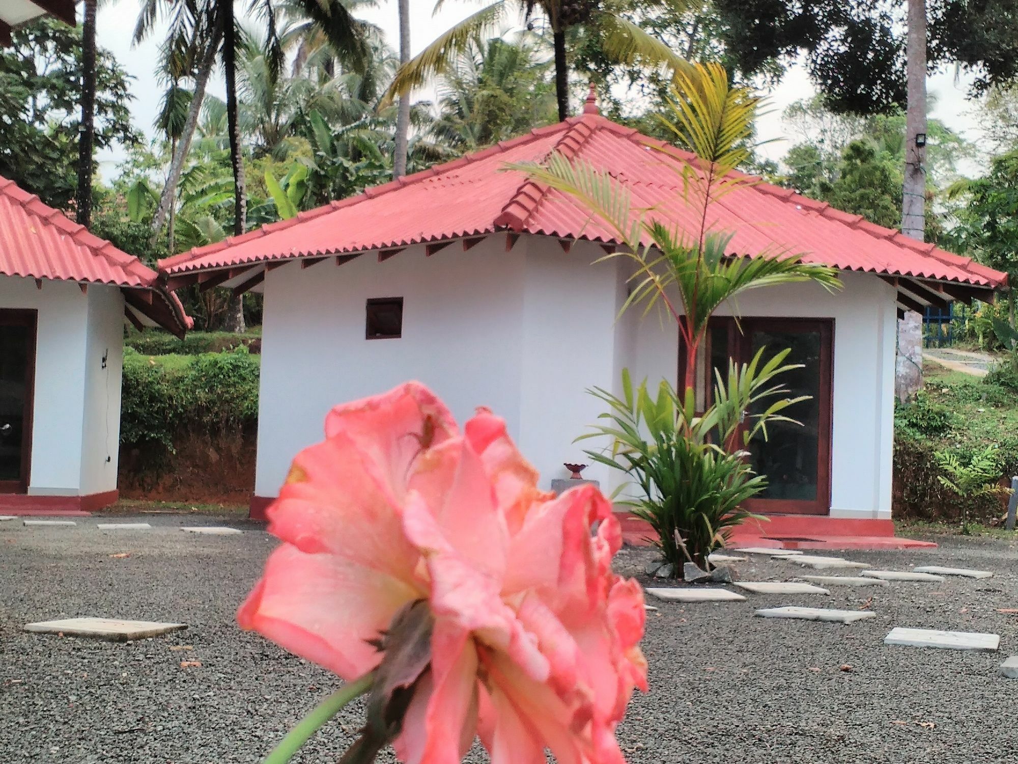 Blue Whale Lagoon Resort Ahangama Exterior photo