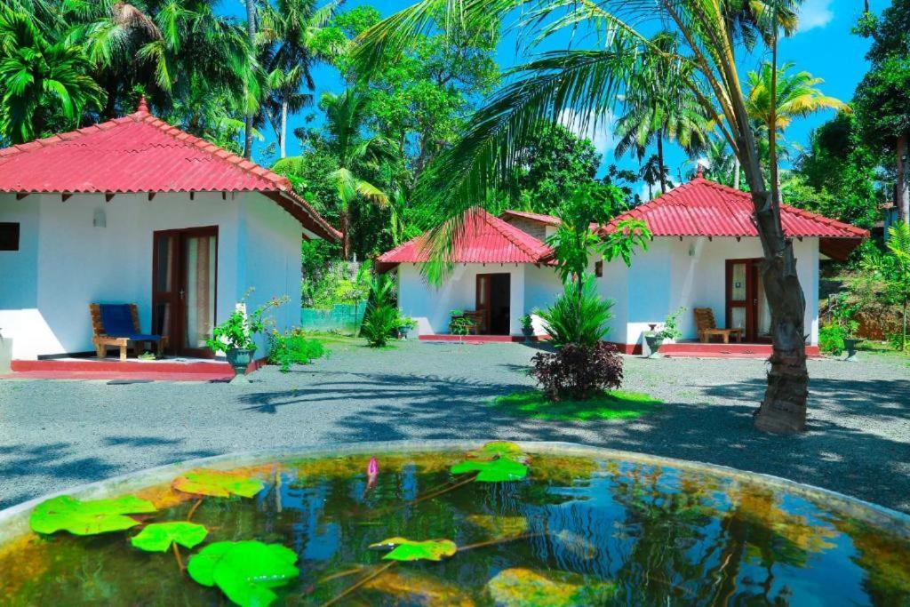 Blue Whale Lagoon Resort Ahangama Exterior photo