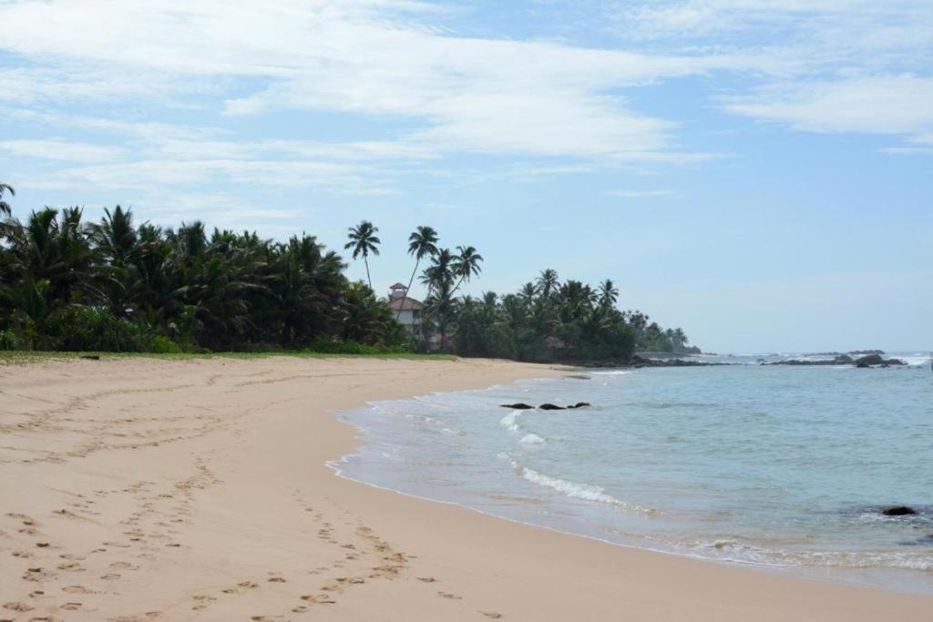 Blue Whale Lagoon Resort Ahangama Exterior photo
