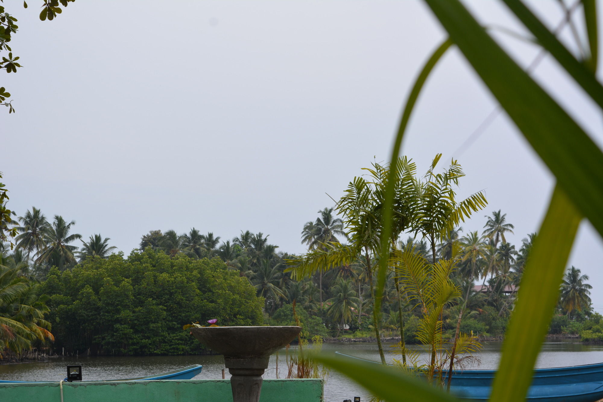 Blue Whale Lagoon Resort Ahangama Exterior photo