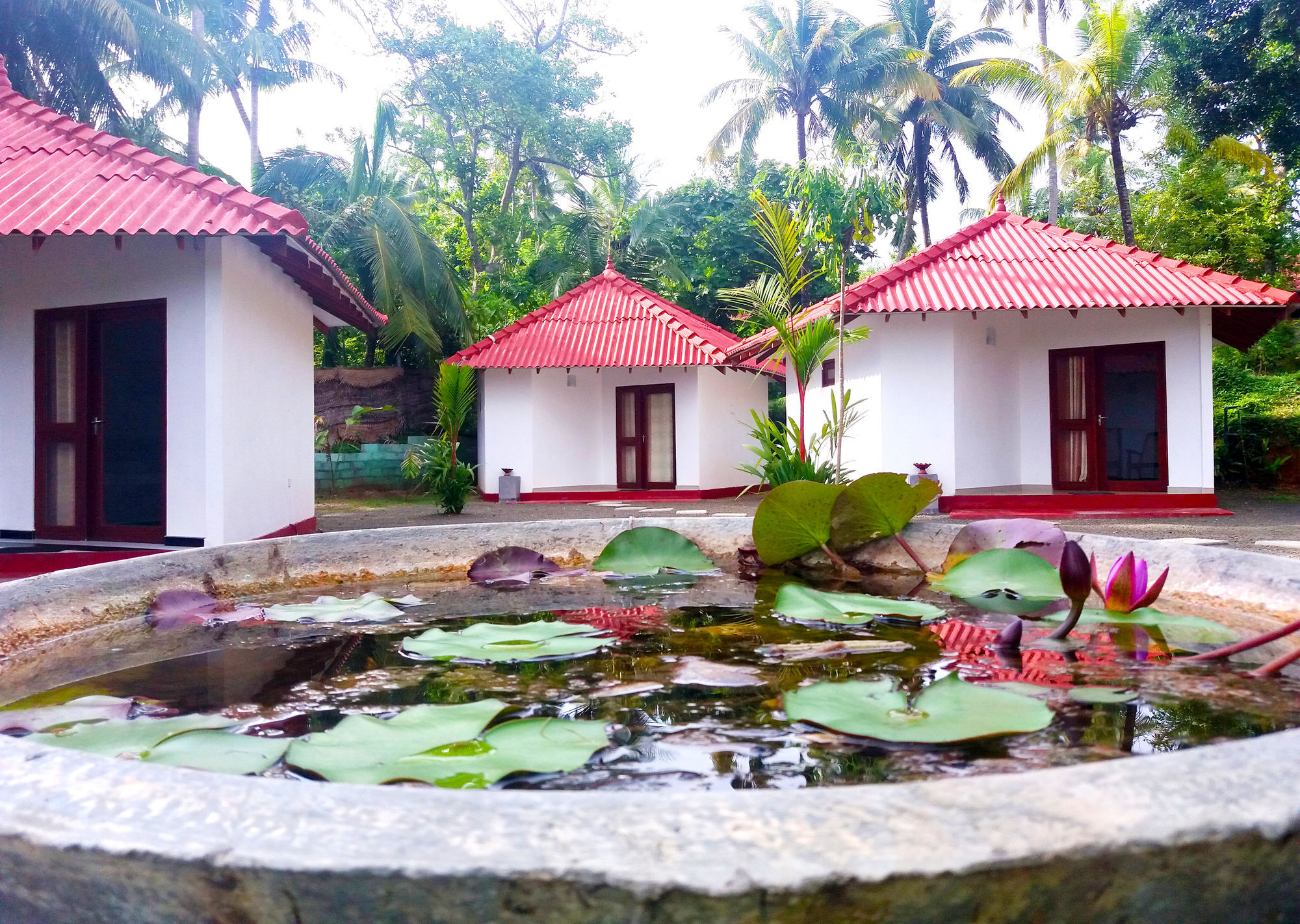 Blue Whale Lagoon Resort Ahangama Exterior photo