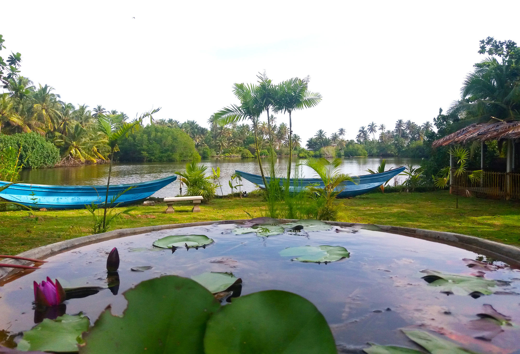 Blue Whale Lagoon Resort Ahangama Exterior photo